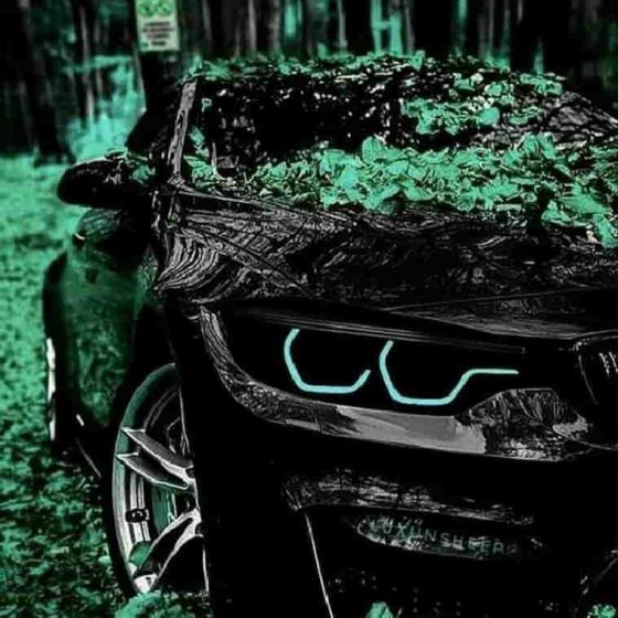 دانلود آهنگ لباس هاوایی به تنه میرم تا آزادی یه تنه 